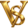 website logo